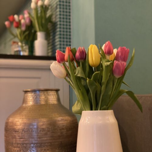 Tulpen